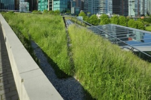 bitumenmembranen voor groene daken