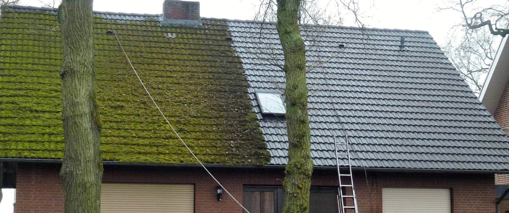 dak ontmossen voor en na in limburg