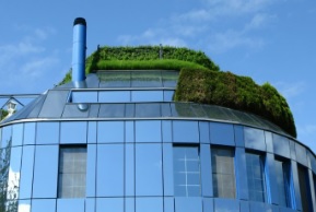 dakafdichting voor groene daken