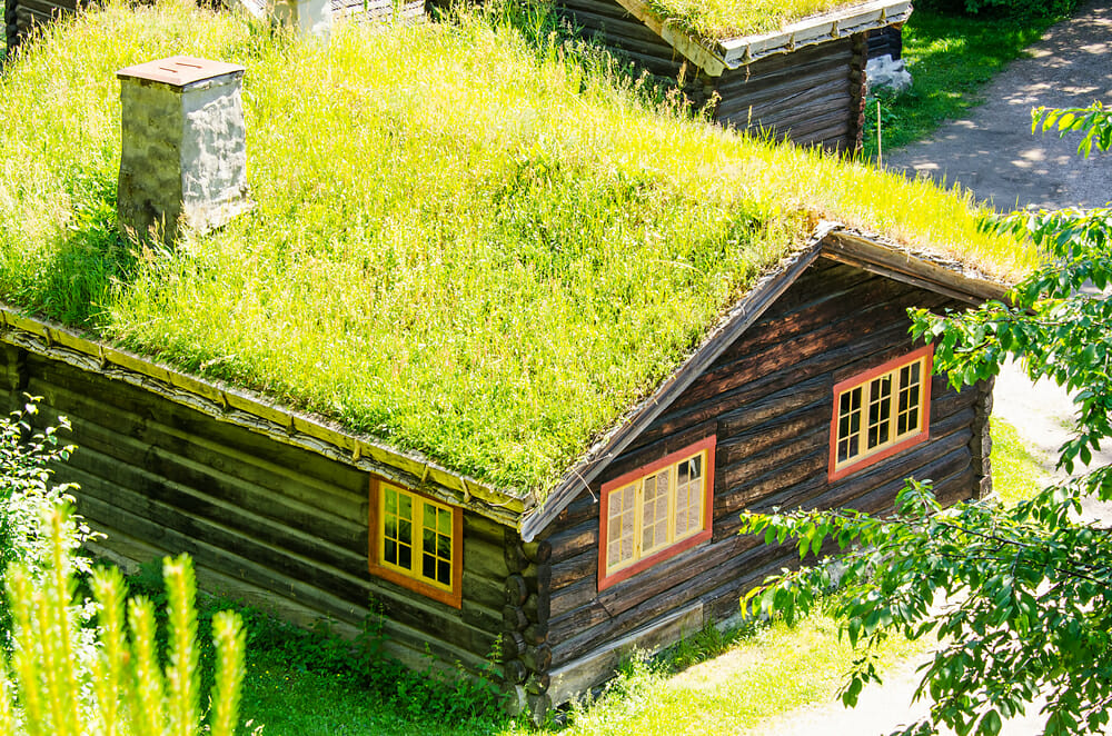 milieuvriendelijke groene daken