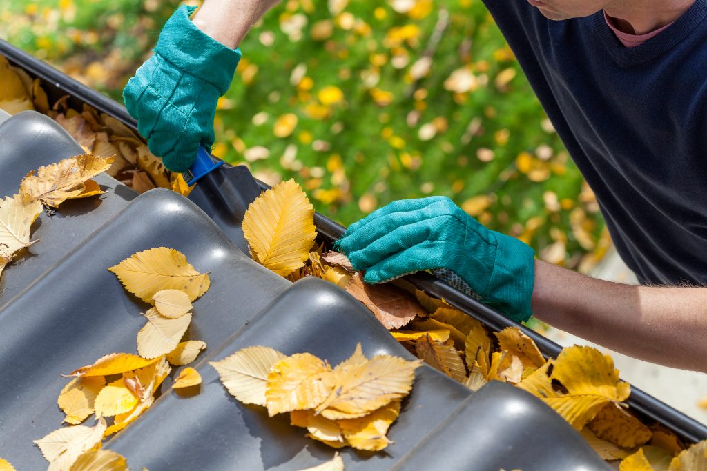 schoonmaken dakgoten van bladeren