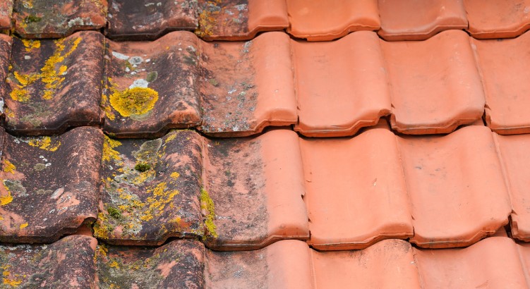 voordelen van professionele dak ontmossing